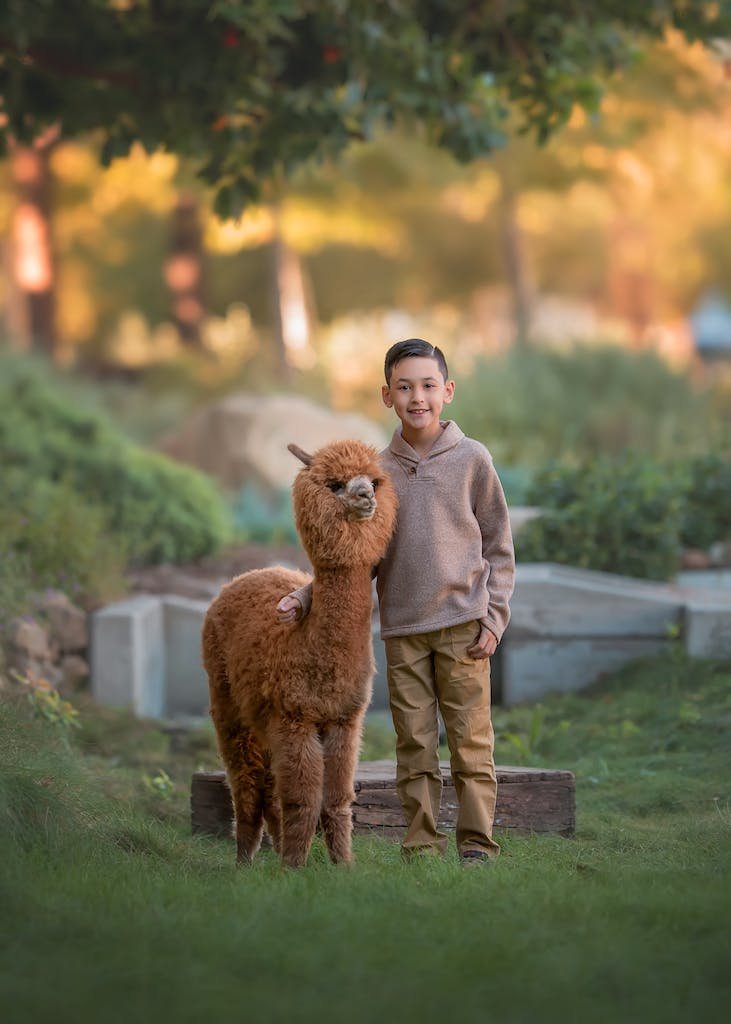 Smiling Boy Standing with Alpaca