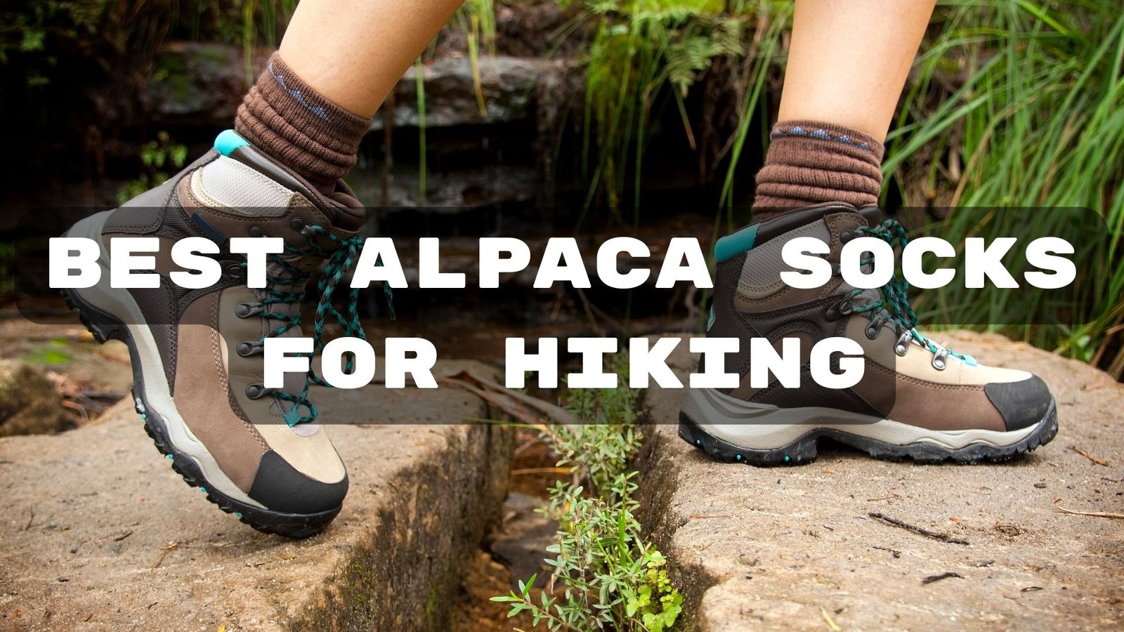 Best Alpaca Socks for Hiking